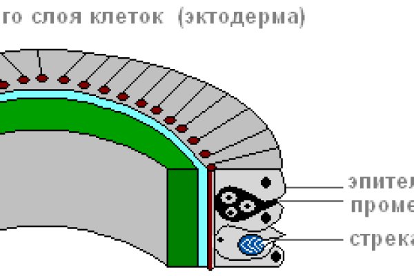 Kra13.at