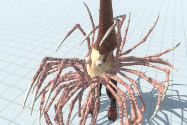 Kraken ссылка