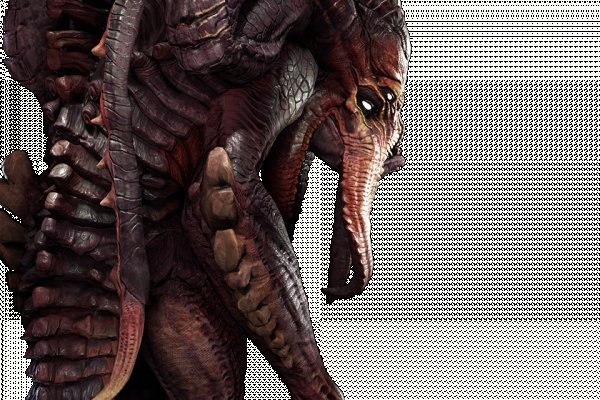 Kraken tor onion